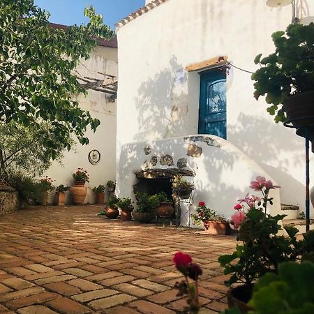 B&B Corte San Lussorio Oliena Ngoại thất bức ảnh