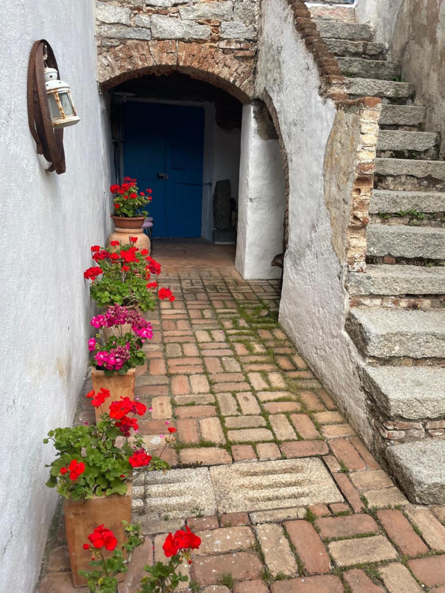 B&B Corte San Lussorio Oliena Ngoại thất bức ảnh
