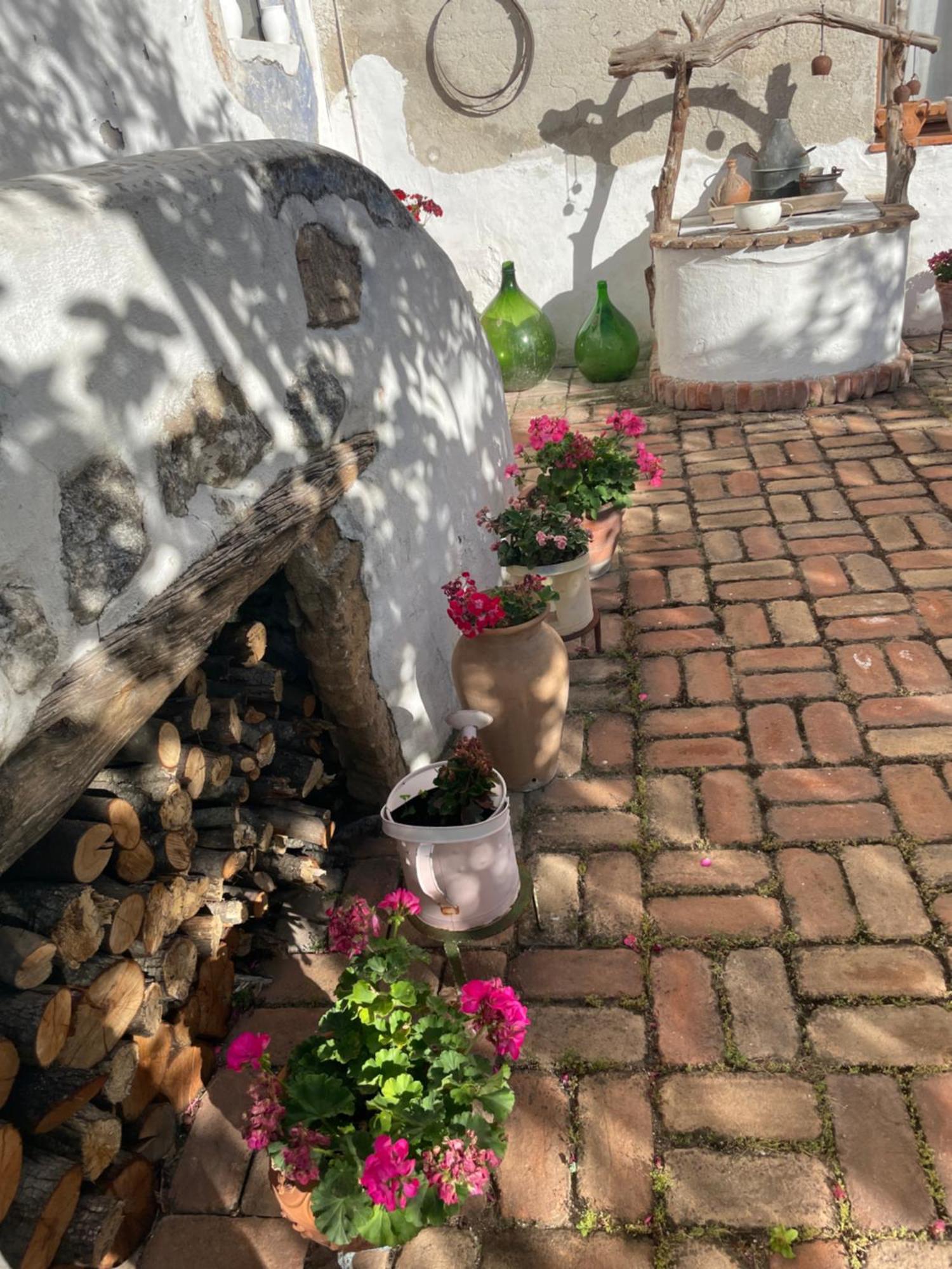 B&B Corte San Lussorio Oliena Ngoại thất bức ảnh